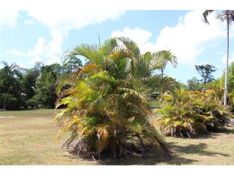 819 East Feluga Road, East Feluga QLD 4854