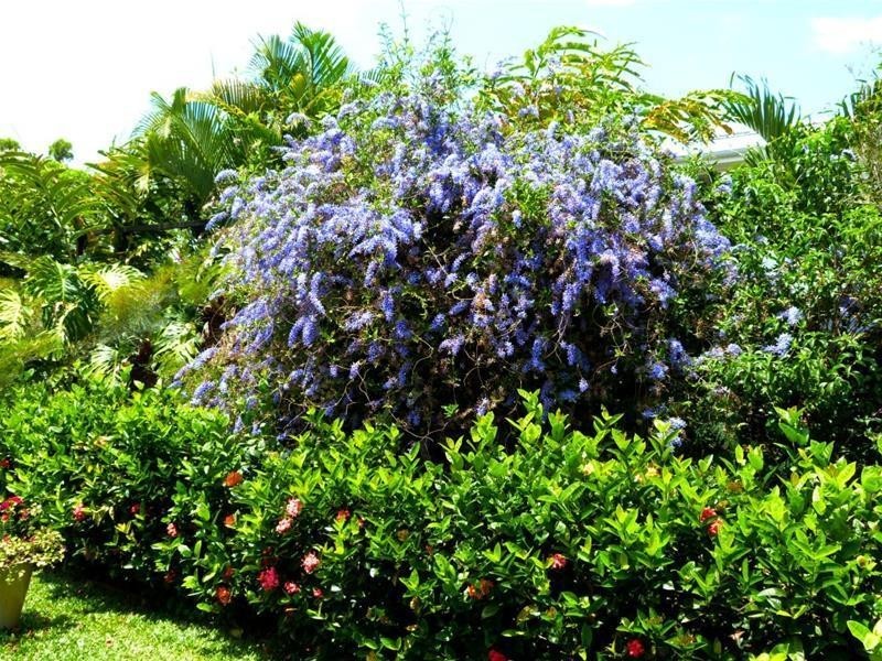 1 Riverside Terrace, South Mission Beach QLD 4852