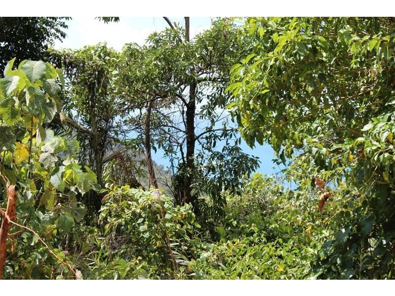 Lot 79, 10 Bicton Close, Bingil Bay QLD 4852