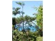 Lot 79, 10 Bicton Close, Bingil Bay QLD 4852