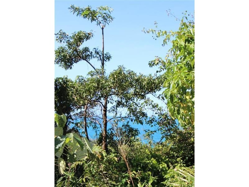 Lot 79, 10 Bicton Close, Bingil Bay QLD 4852