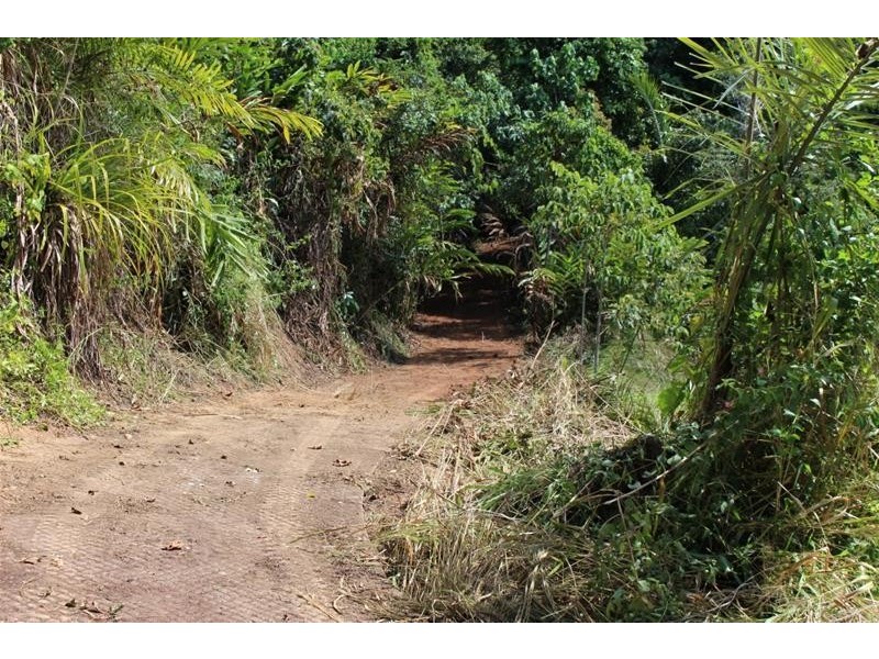 Lot 79, 10 Bicton Close, Bingil Bay QLD 4852