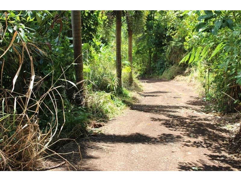 Lot 79, 10 Bicton Close, Bingil Bay QLD 4852