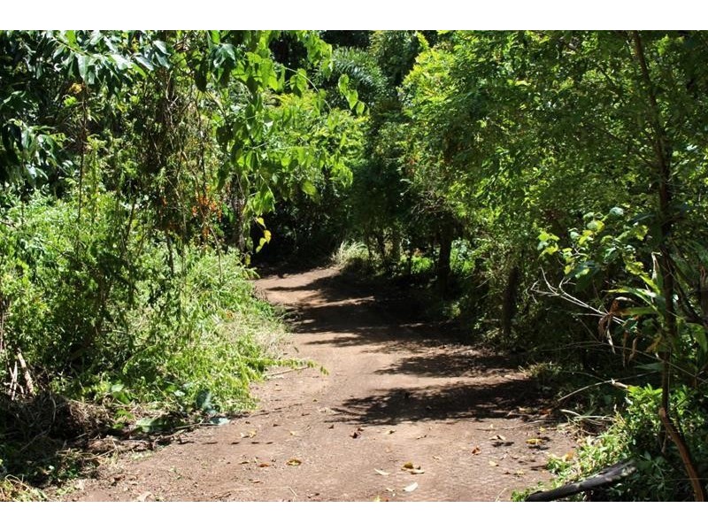 Lot 79, 10 Bicton Close, Bingil Bay QLD 4852