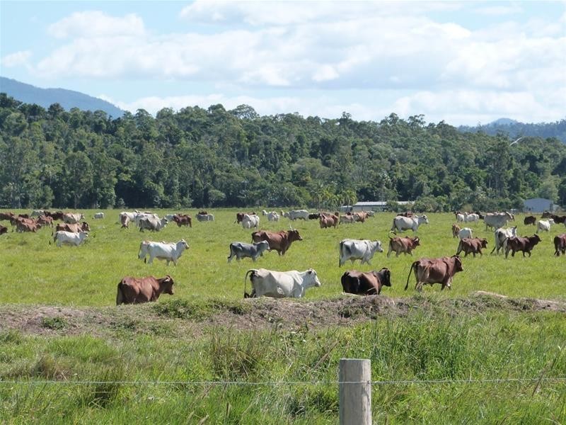 Lot 347, 173 Dargin Road, Maria Creeks QLD 4855