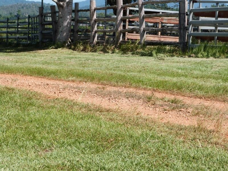 Lot 347, 173 Dargin Road, Maria Creeks QLD 4855