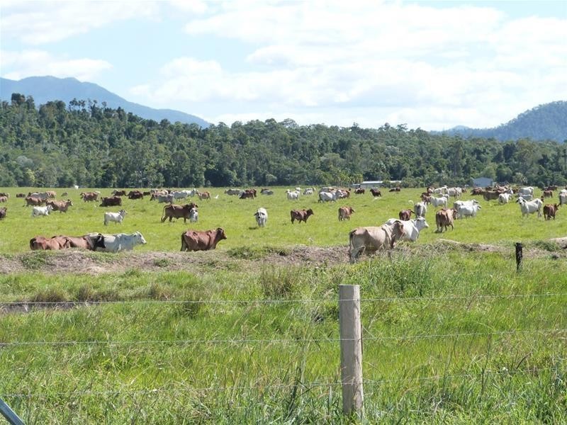 Lot 347, 173 Dargin Road, Maria Creeks QLD 4855