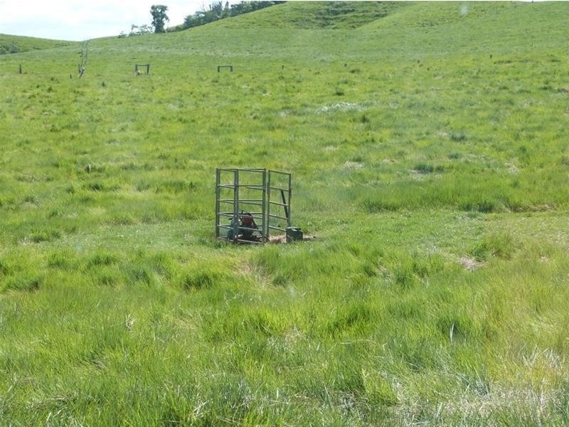 Lot 347, 173 Dargin Road, Maria Creeks QLD 4855