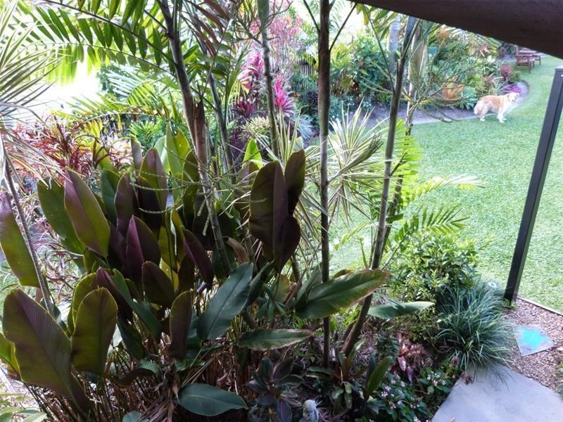 76 Chauvel Street, El Arish QLD 4855