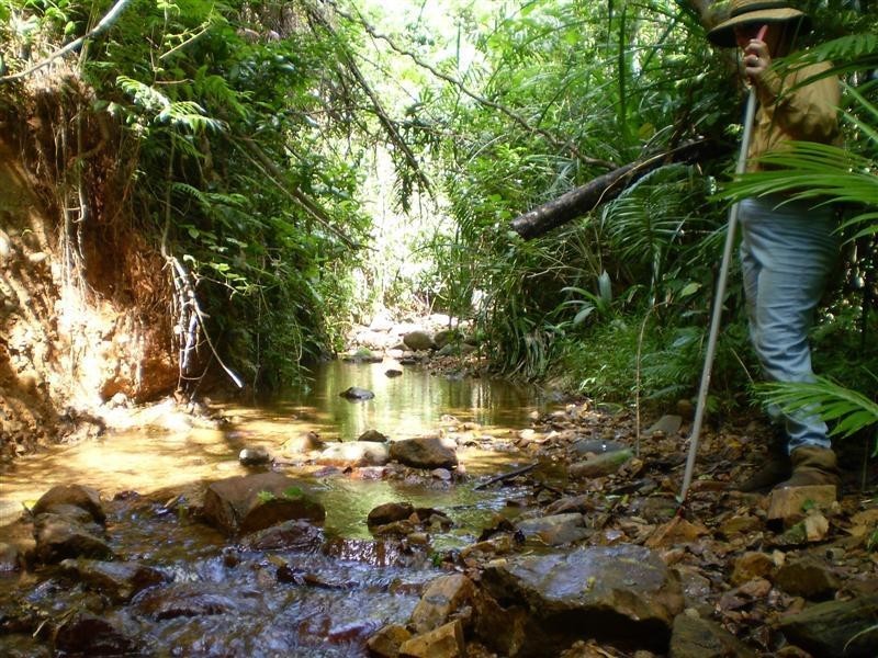 141 Hill Sixty Road, Jaffa QLD 4855