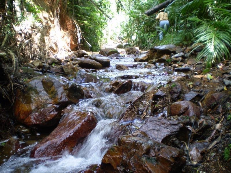 141 Hill Sixty Road, Jaffa QLD 4855