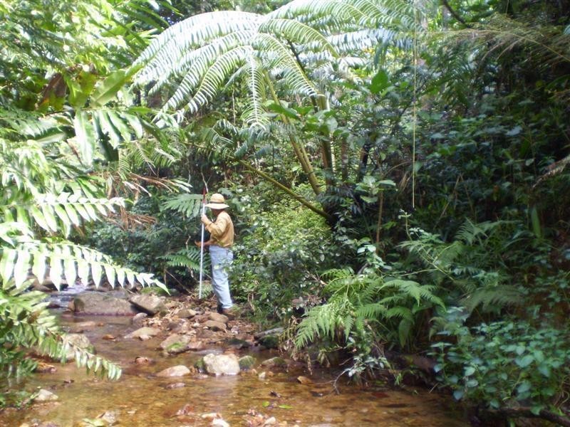 141 Hill Sixty Road, Jaffa QLD 4855