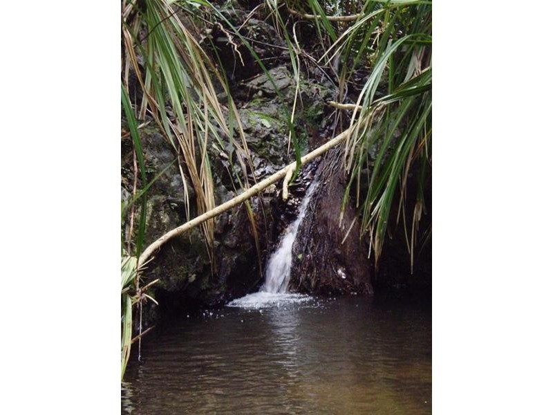 141 Hill Sixty Road, Jaffa QLD 4855