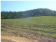 Japoonvale QLD 4856