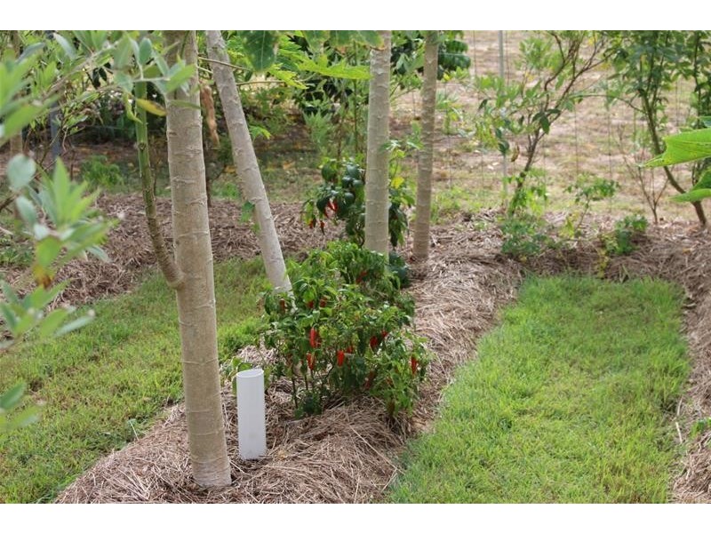 104 Tully Heads Road, Tully Heads QLD 4854