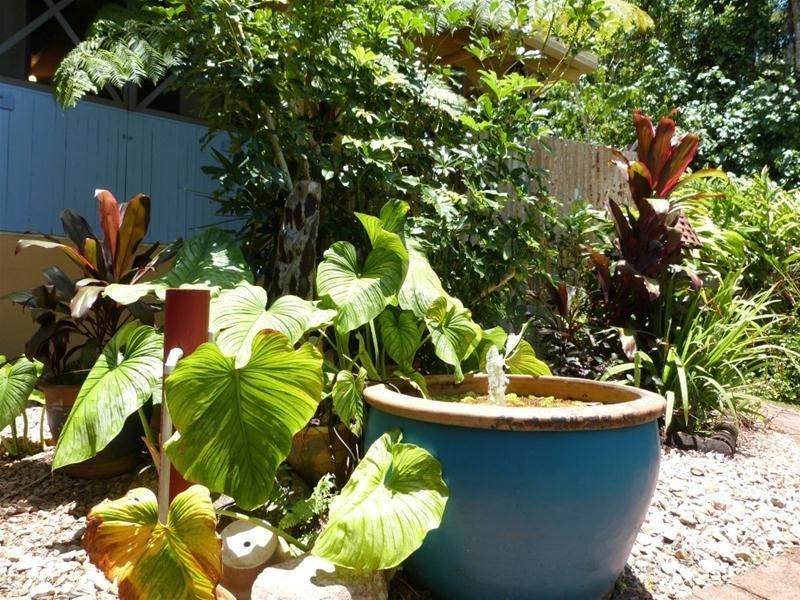 350 Bingil Bay Road, Bingil Bay QLD 4852