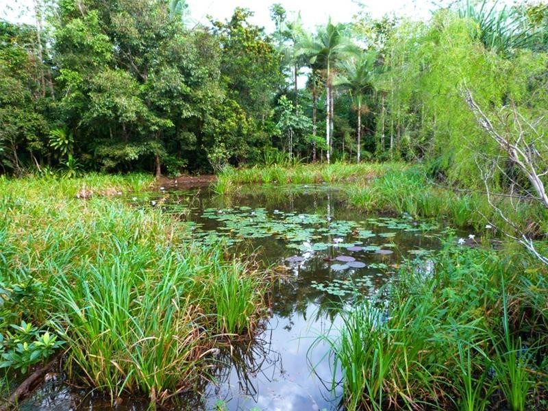 463 East Feluga Road, East Feluga QLD 4854