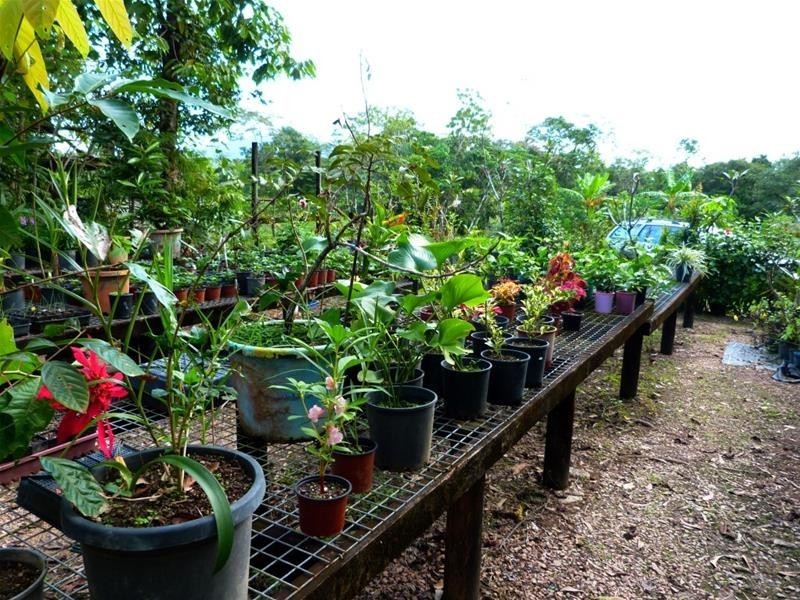 463 East Feluga Road, East Feluga QLD 4854