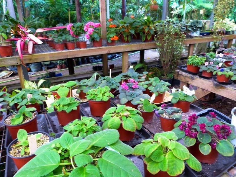 463 East Feluga Road, East Feluga QLD 4854