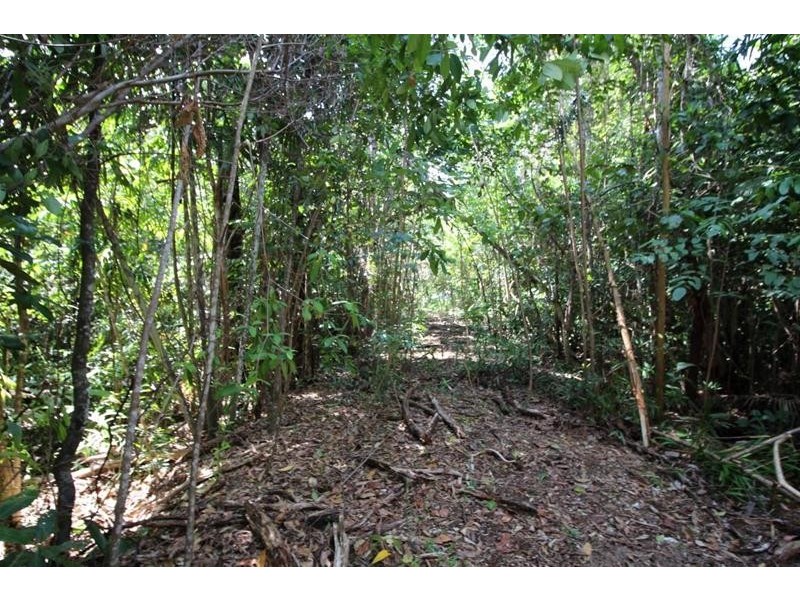 Lot 88, Lot 88 Tully-Hull Road, Tully Heads QLD 4854