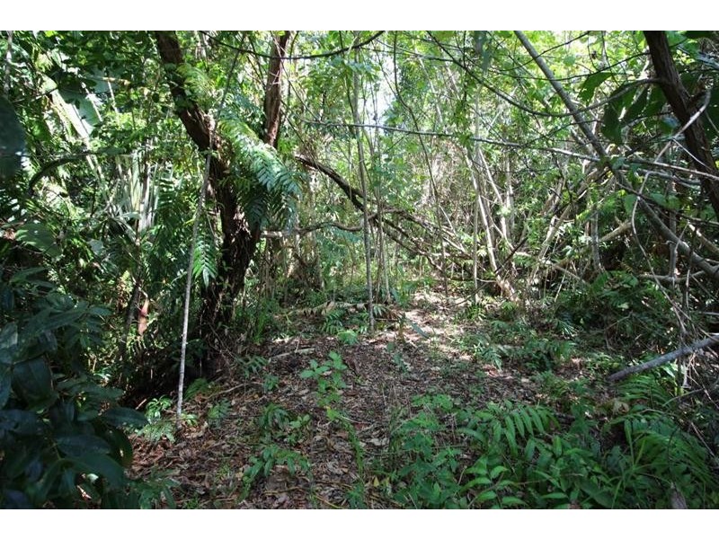 Lot 88, Lot 88 Tully-Hull Road, Tully Heads QLD 4854