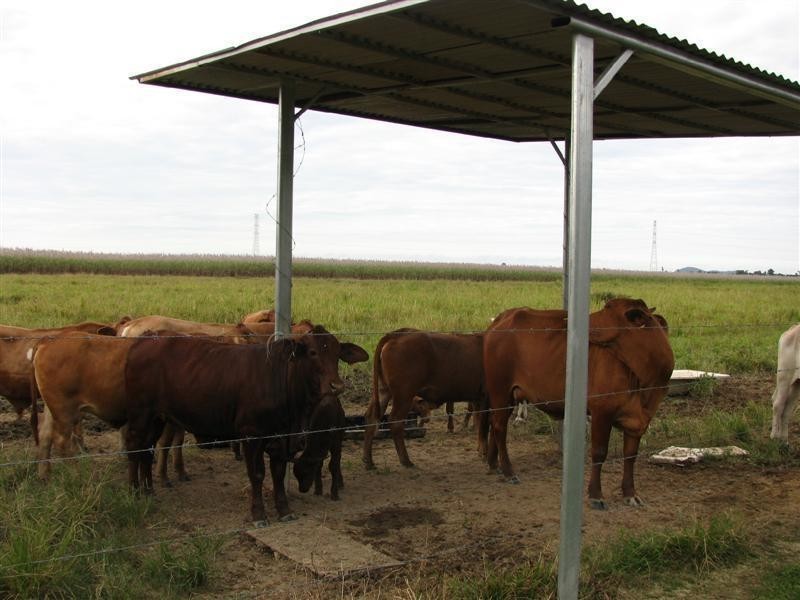 203 Jones Road, El Arish QLD 4855