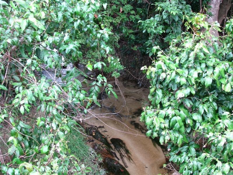 203 Jones Road, El Arish QLD 4855