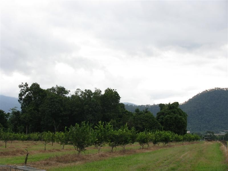 203 Jones Road, El Arish QLD 4855