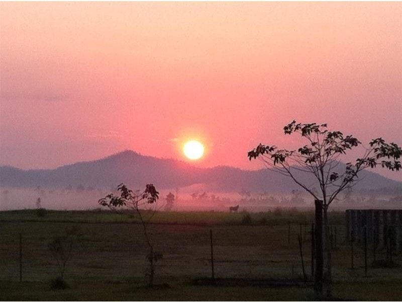 154 Old Tully Road, Tully QLD 4854