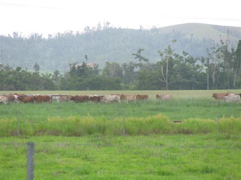 203 Jones Road, El Arish QLD 4855