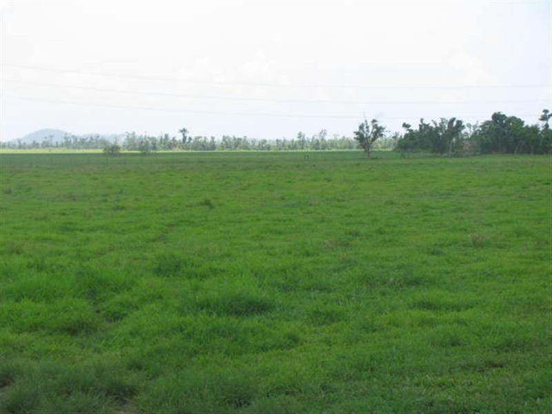 203 Jones Road, El Arish QLD 4855