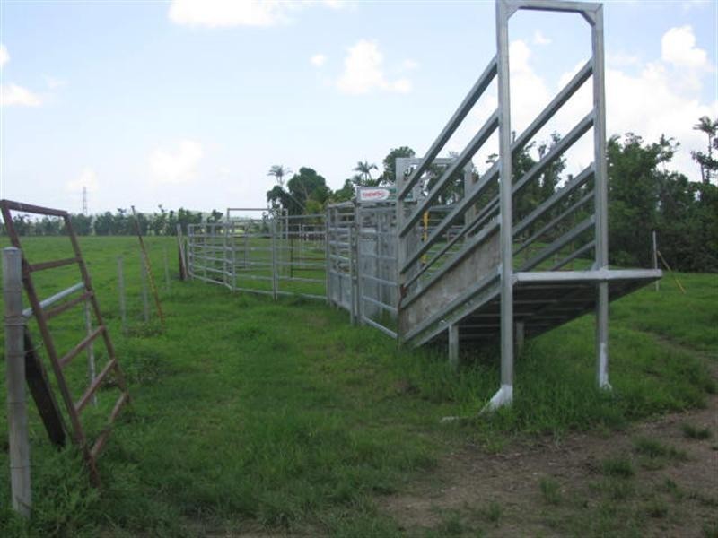 203 Jones Road, El Arish QLD 4855