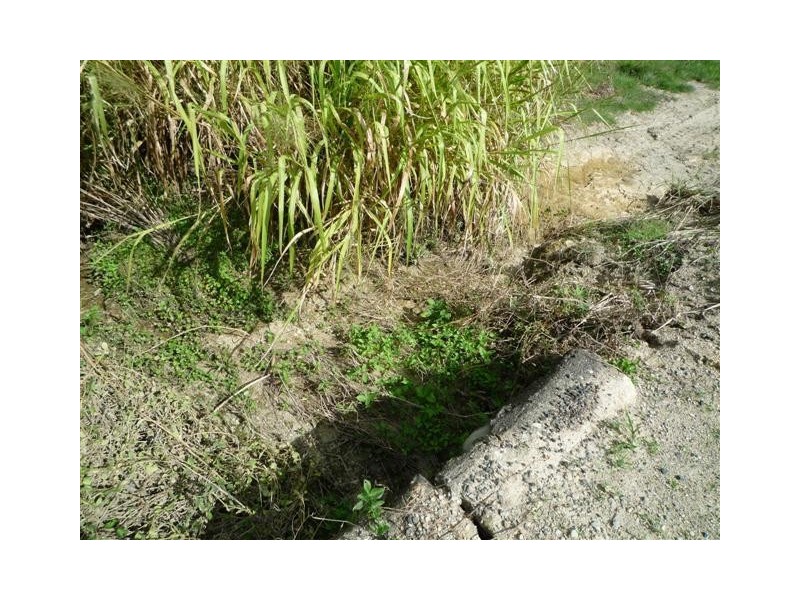 Lot 12, 12 Branch Road, Silkwood QLD 4856