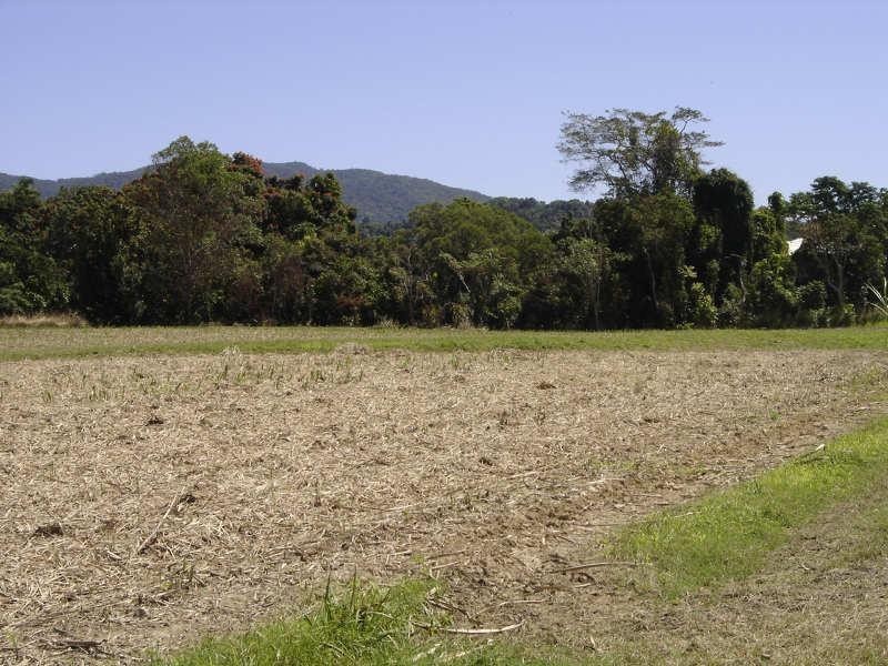 Lot 2 Japoon Silkwood Road, Japoonvale QLD 4856