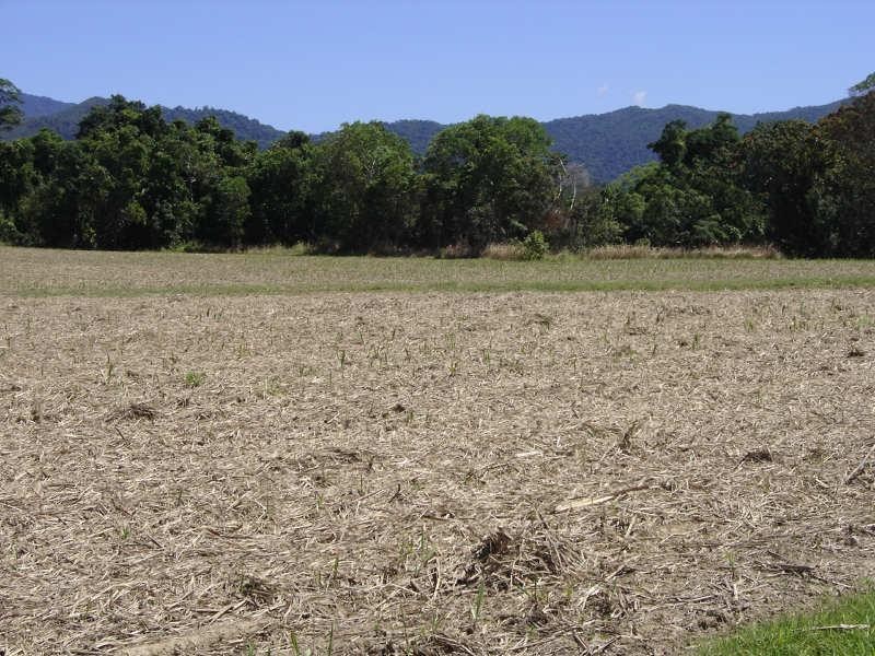 Lot 2 Japoon Silkwood Road, Japoonvale QLD 4856