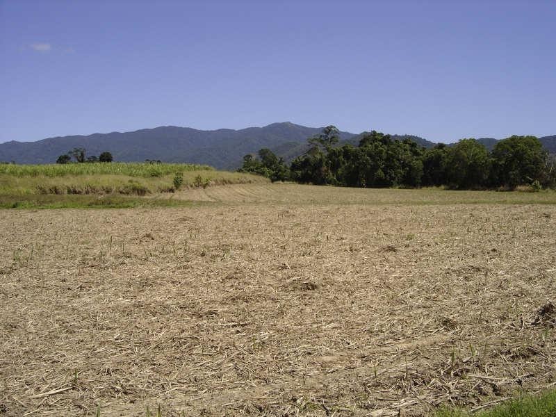 Lot 2 Japoon Silkwood Road, Japoonvale QLD 4856