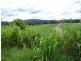 Lot 2 Japoon Silkwood Road, Japoonvale QLD 4856