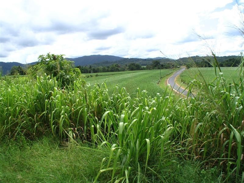 Lot 2 Japoon Silkwood Road, Japoonvale QLD 4856