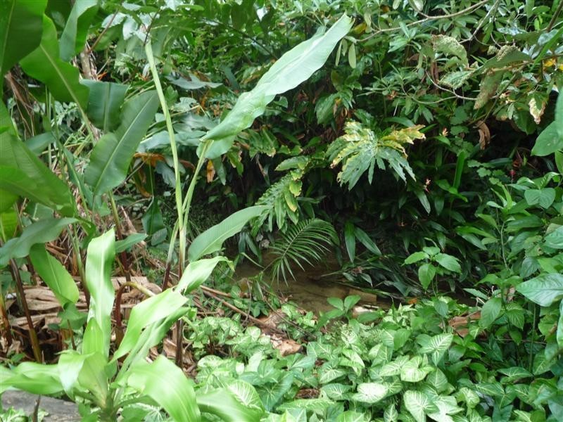 140 Feluga Road, Feluga QLD 4854