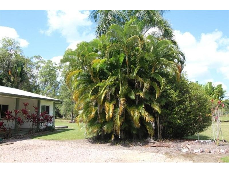 819 East Feluga Road, East Feluga QLD 4854