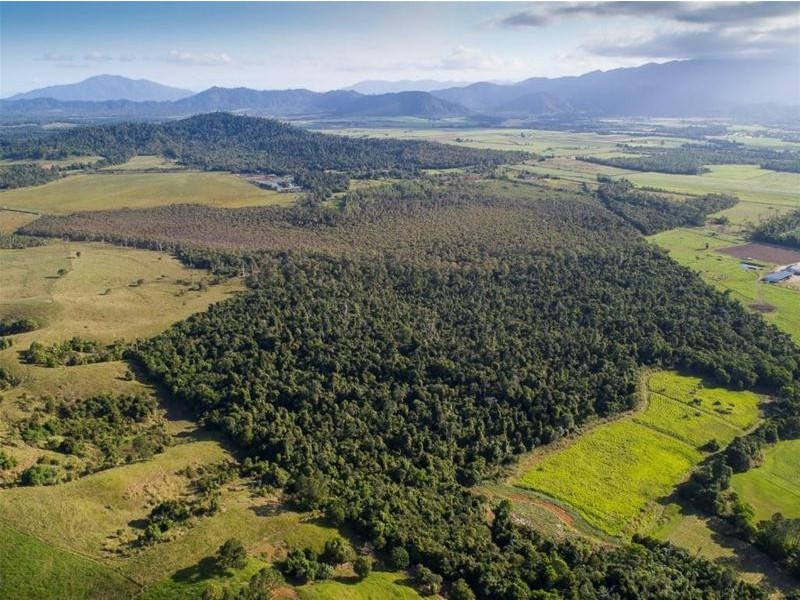 Lot 5, Lot 5 Hayter Road, Maria Creeks QLD 4855