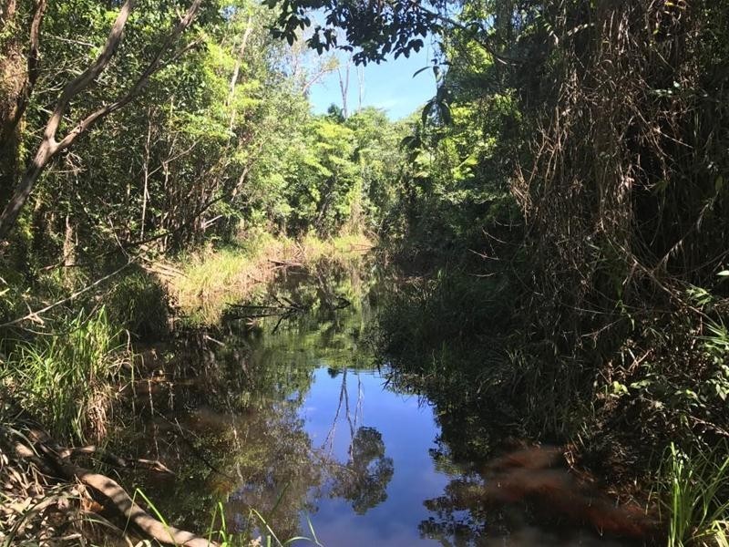 Lot 5, Lot 5 Hayter Road, Maria Creeks QLD 4855