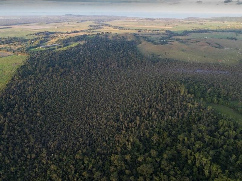 Lot 5, Lot 5 Hayter Road, Maria Creeks QLD 4855