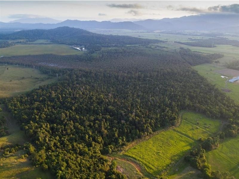 Lot 5, Lot 5 Hayter Road, Maria Creeks QLD 4855