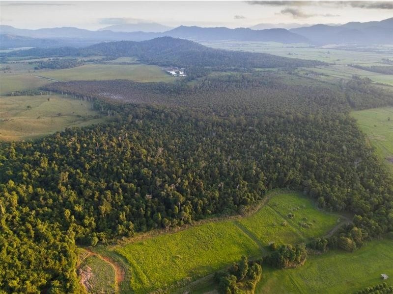 Lot 5, Lot 5 Hayter Road, Maria Creeks QLD 4855