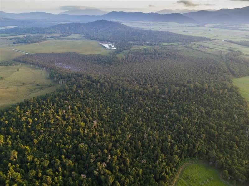 Lot 5, Lot 5 Hayter Road, Maria Creeks QLD 4855