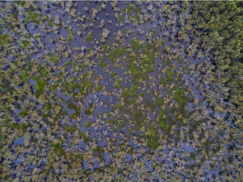 Lot 5, Lot 5 Hayter Road, Maria Creeks QLD 4855