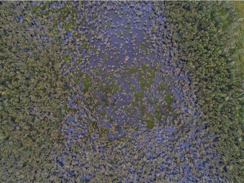 Lot 5, Lot 5 Hayter Road, Maria Creeks QLD 4855