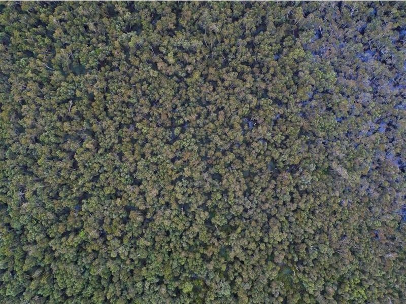 Lot 5, Lot 5 Hayter Road, Maria Creeks QLD 4855