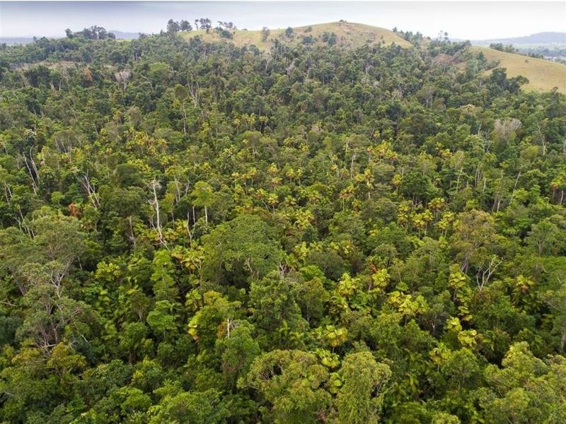 Lot 5, Lot 5 Hayter Road, Maria Creeks QLD 4855